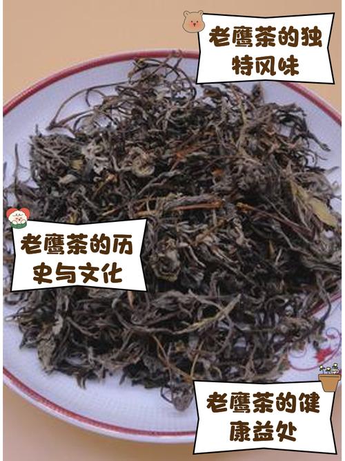 四川老鹰茶和传统茶壶