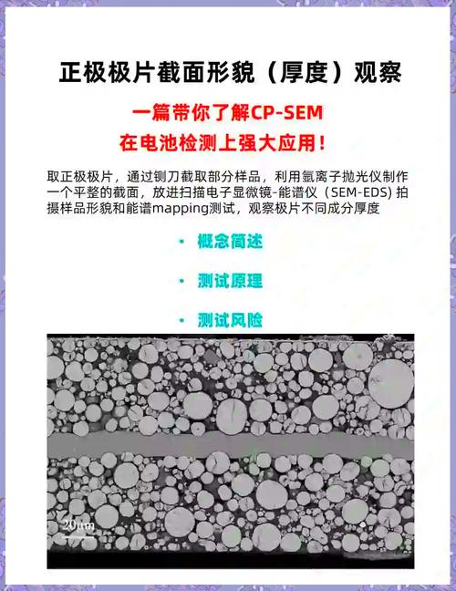 碱液渗透涂层截面显微镜图