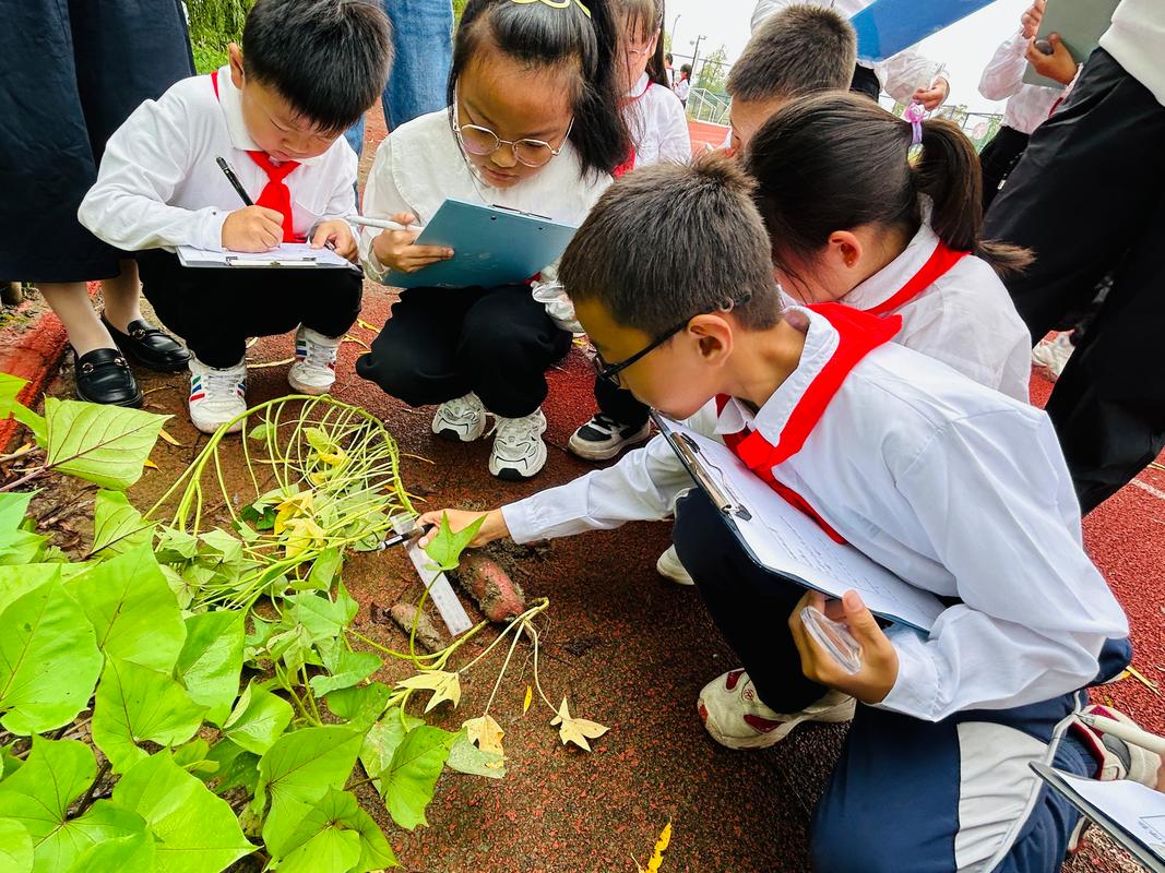 小学生户外自然探究活动场景