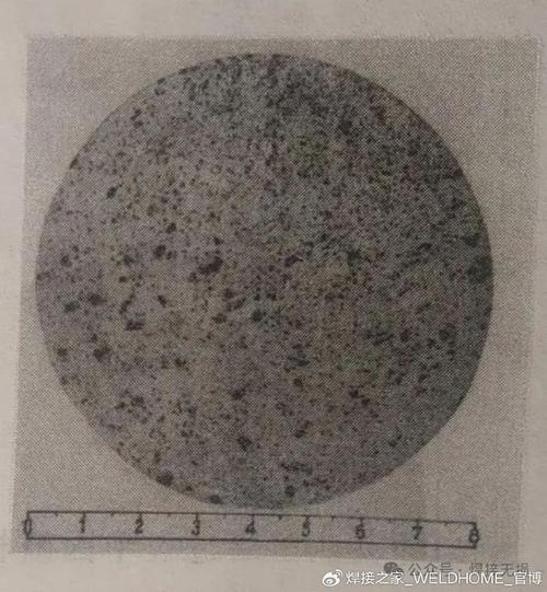 金属晶界硫偏析扫描电镜图