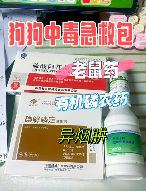 宠物误食中毒急诊准备物品清单图