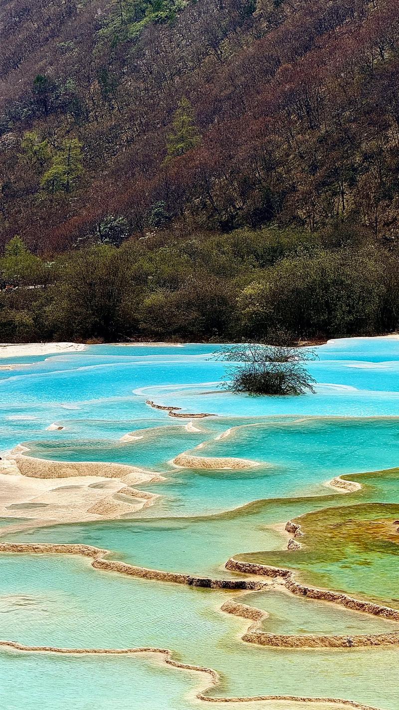 黄龙五彩池全景