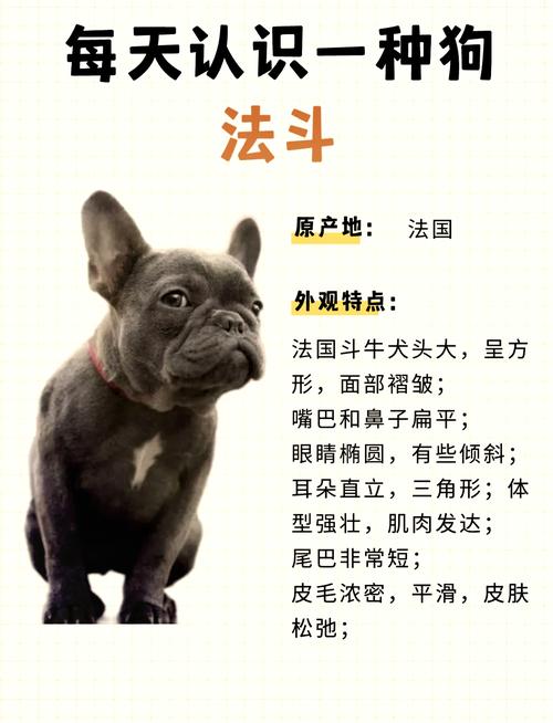 那些骗了很多人的法斗误区