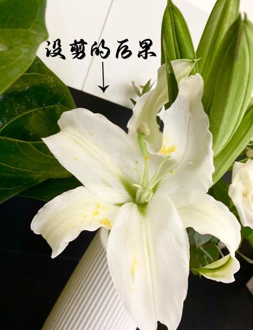 婚礼现场百合花艺布置雄蕊摘除前后对比
