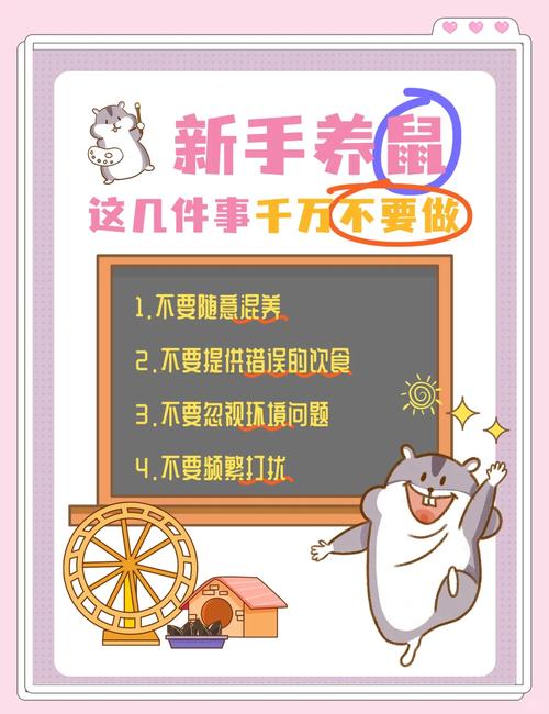 别踩坑!新手常见误区