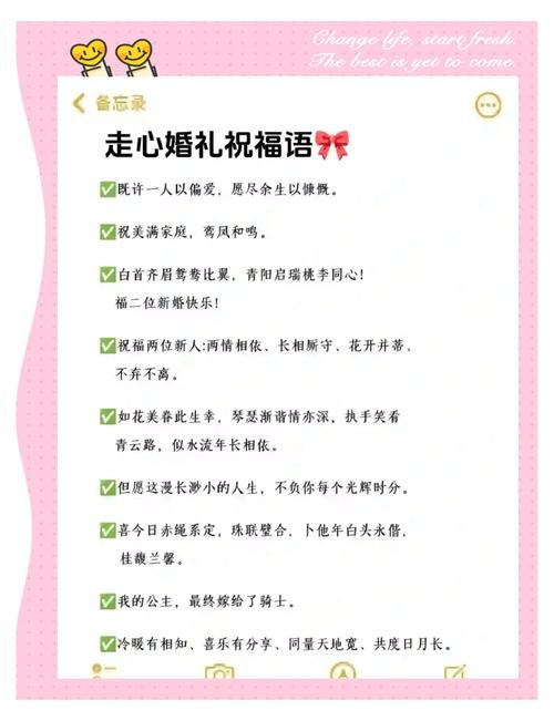 给新人的真心话