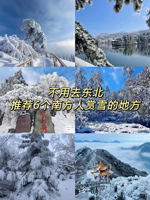 南方雪友不用跑远,家门口就有好场