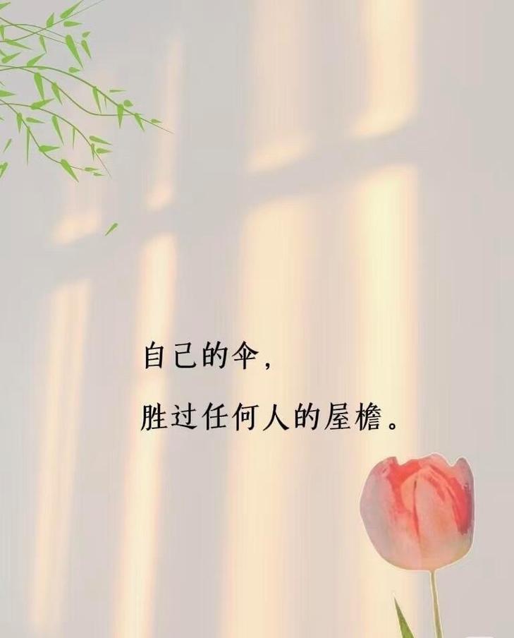 一把伞的归处,就是生活的分寸