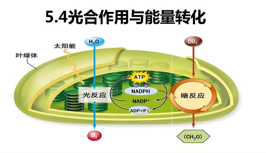 跨学科交叉研究：那些“不务正业”的科学家如何改写世界？
