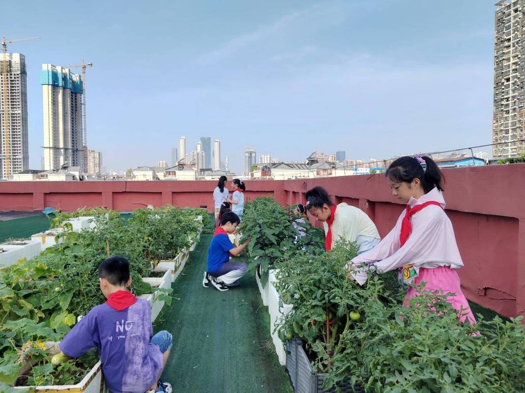 绿色校园,不止是种树:一场正在发生的教育革命-如东教育网