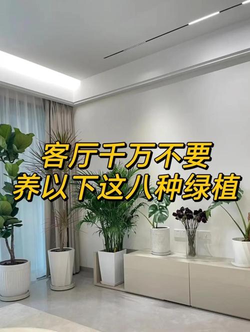 买绿植容易踩的隐形坑,千万注意