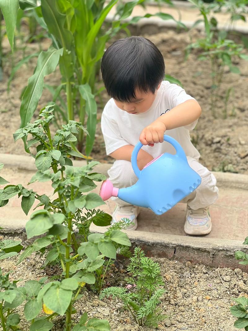 孩子专注地给植物浇水