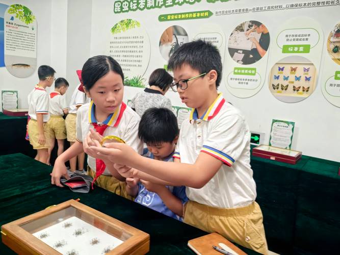 别再堆人头凑规模：科普活动策划的三个反常识细节