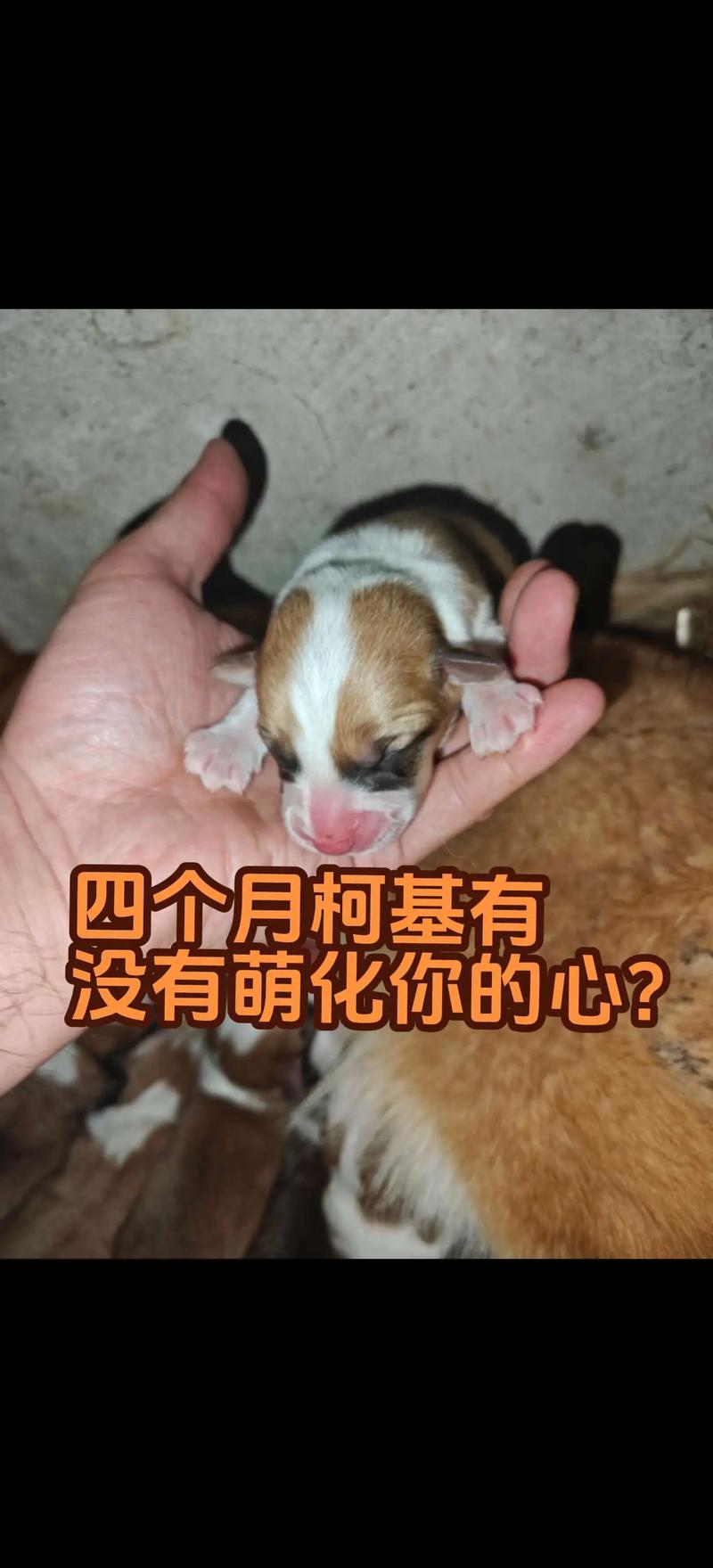 0-12个月：从一团小肉球到“心机”满满的小人精