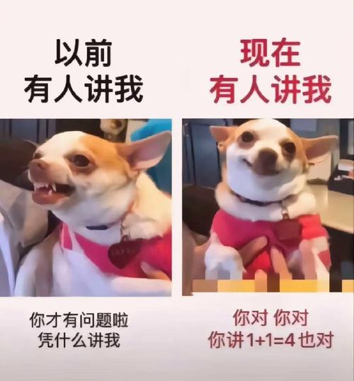 ❓ 共情这玩意儿,一开始我也觉得矫情