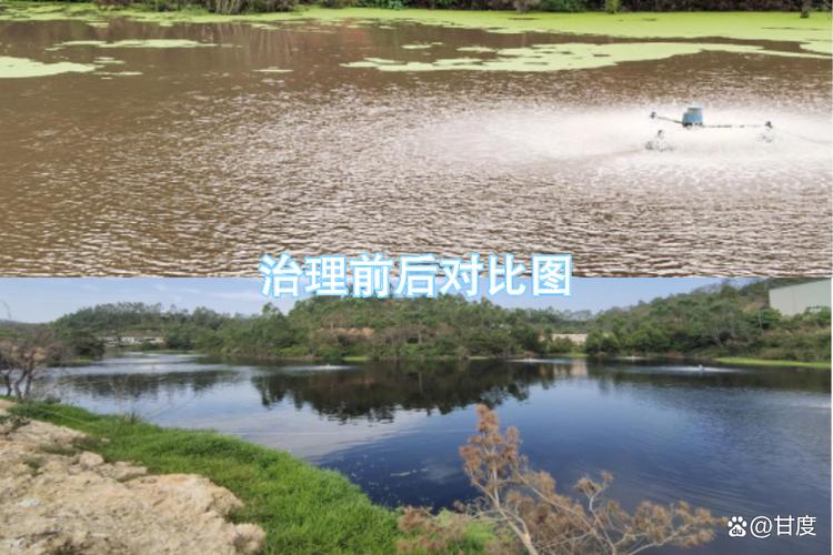 黑臭河道微生物修复原位实验对比图