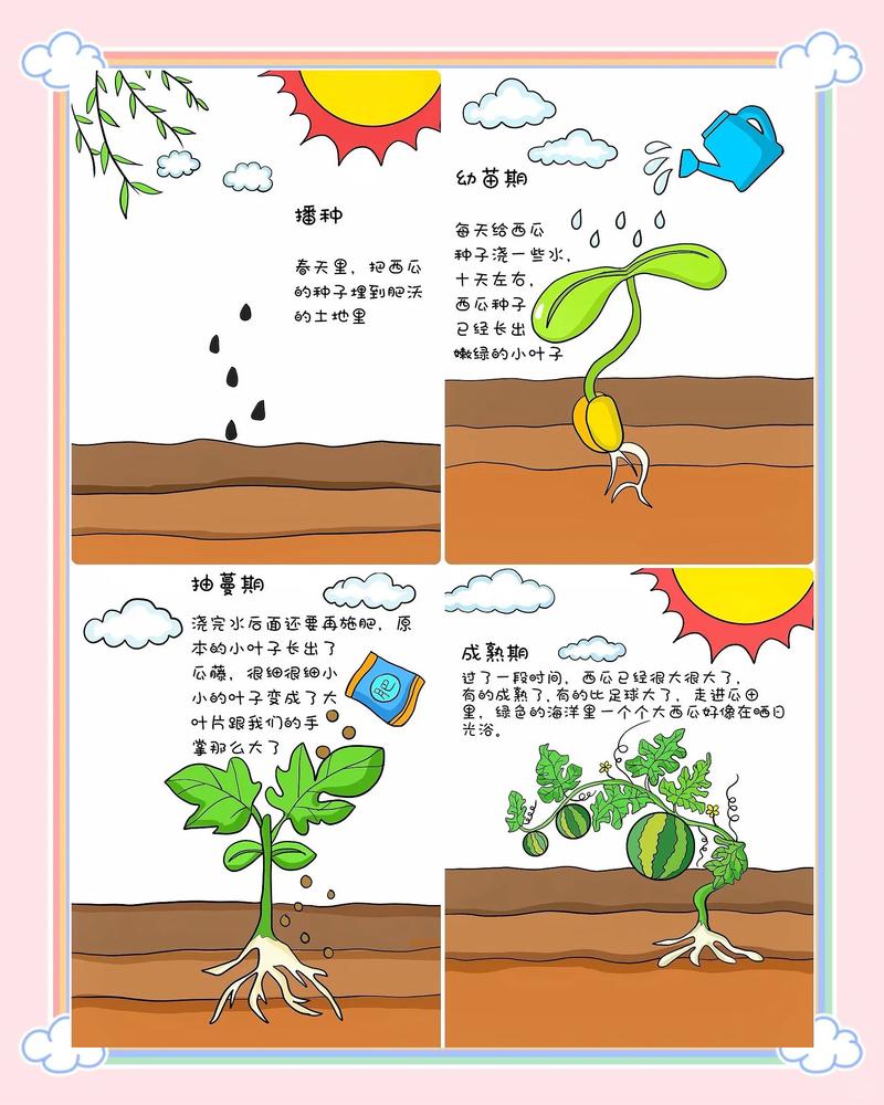 儿童菜园观察西瓜生长手绘记录表