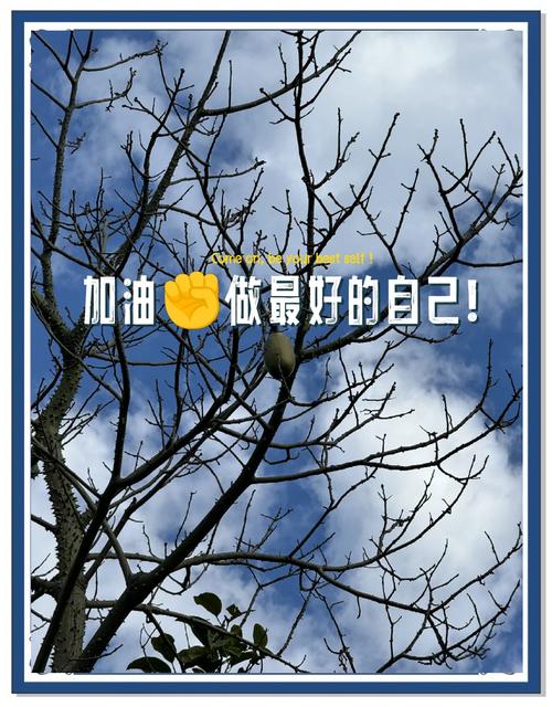 我们能做的，从来不是“逼他加油”
