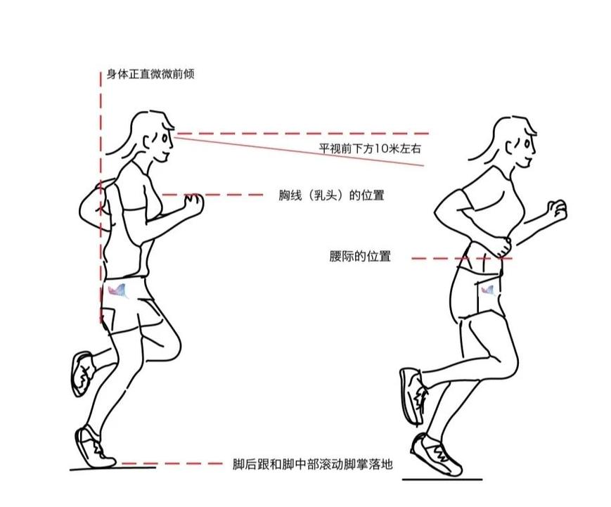 公园轻松慢跑正确姿势示范图