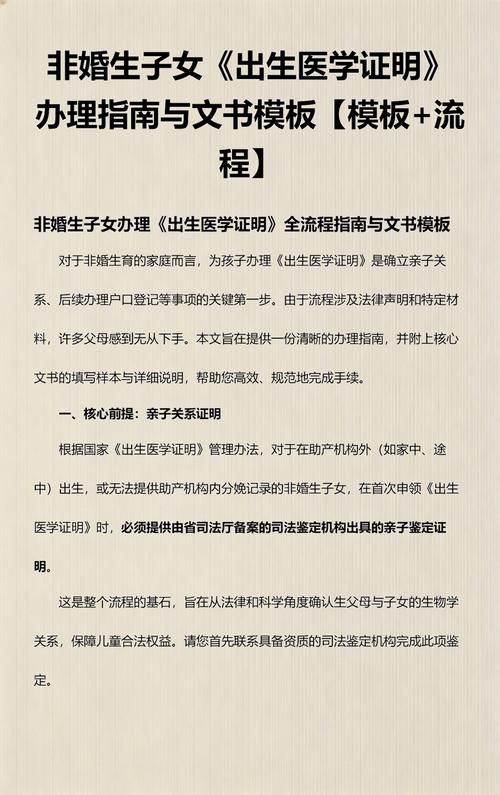 非婚生子女亲子鉴定流程示意图