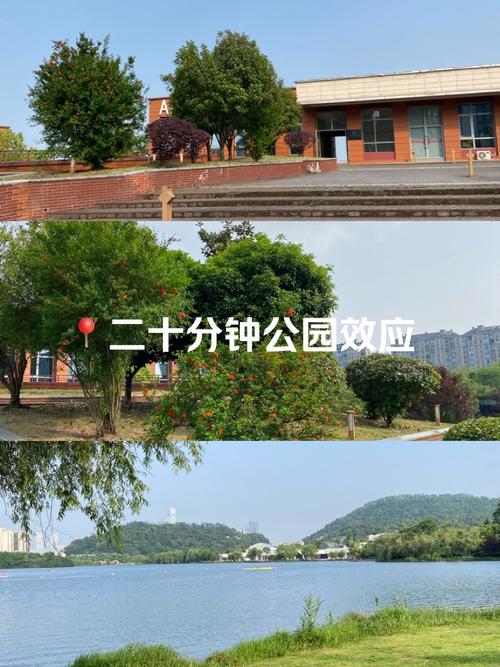 人民公园，慢到时间都打盹