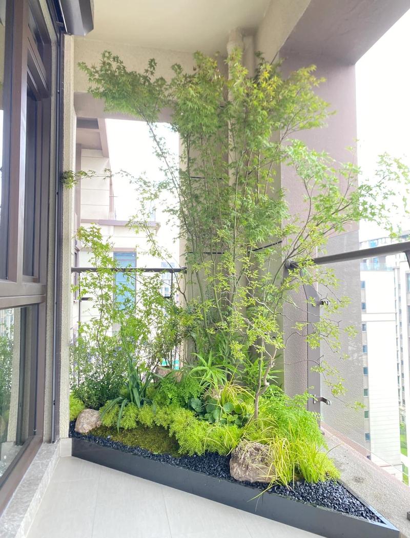 阳台窗边天然驱蚊植物摆放场景图