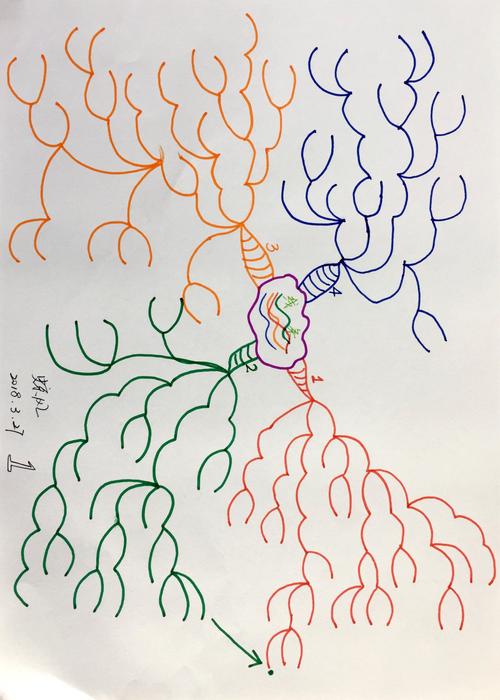 新手画的乱线团思维导图实拍图