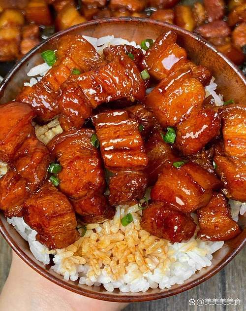 家庭版红烧肉成品 搭配米饭葱花
