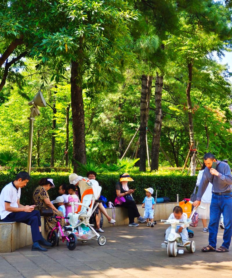 年轻夫妻带娃和老年父母公园聊天场景