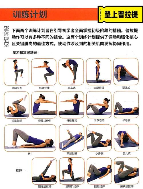 清晨瑜伽垫上练习基础序列示意图