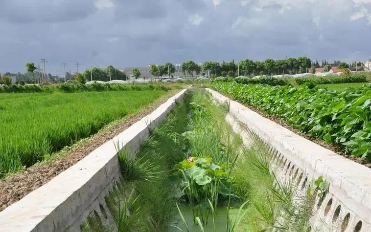 生态农场留自然余量排水沟实景图
