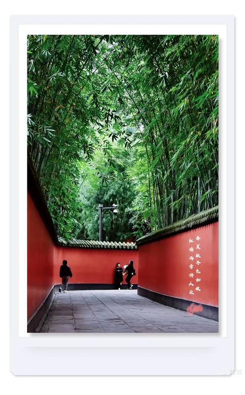 武侯祠:红墙竹影与消费陷阱