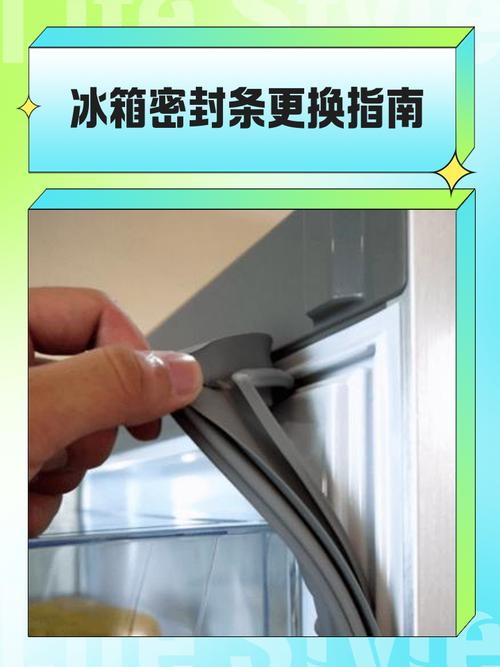 用A4纸测试冰箱密封条密封性的操作实拍
