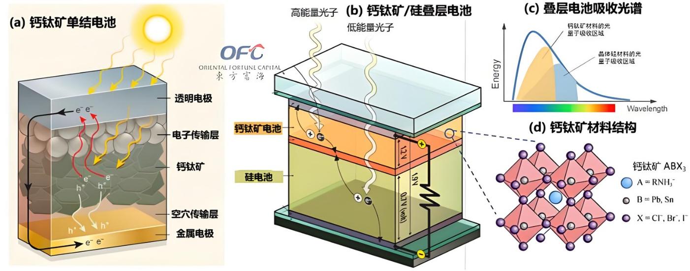 钙钛矿太阳能电池结构示意图
