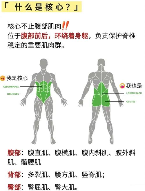 核心收紧不是吸肚子,是一种微妙的感觉