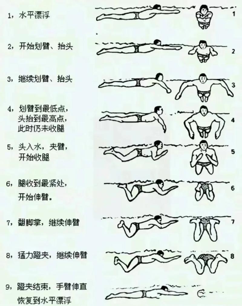 蛙泳换气口鼻出水位置示意图
