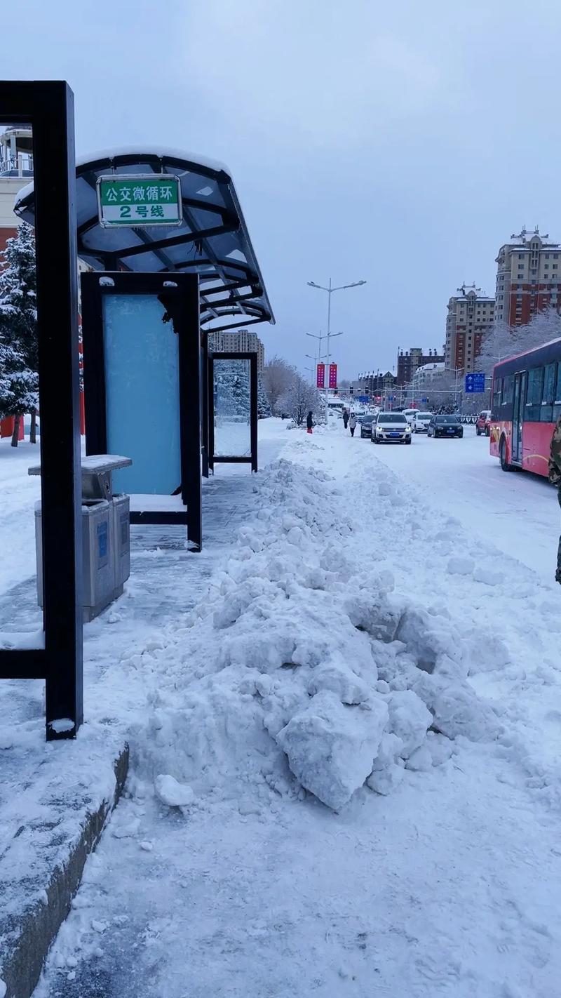 哈尔滨公交窗外雪景