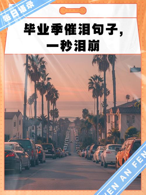 毕业后:分配不是你想分,想分就能分