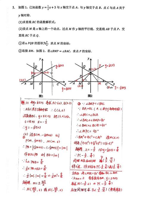 初中数学一次函数课堂支架任务单实拍