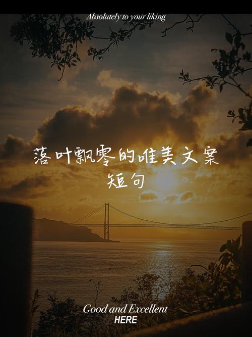 落叶的归宿:从垃圾到生命基石