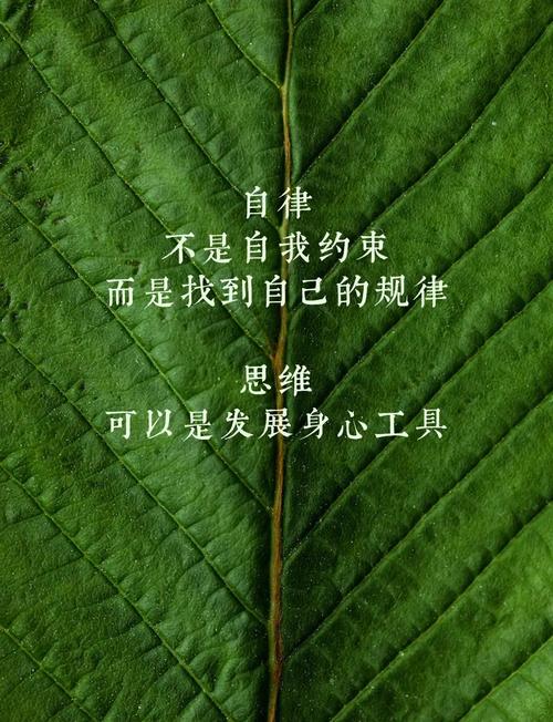 四、坚持的秘密：别太“自律”