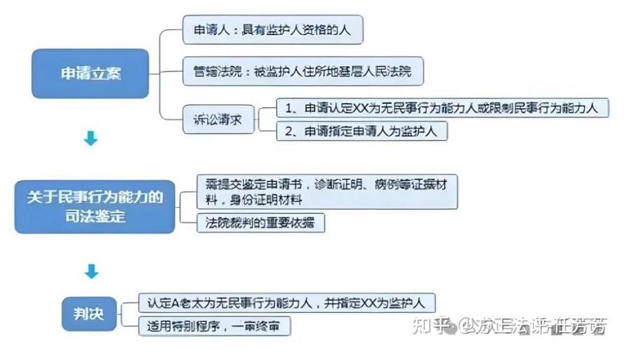 法院指定监护流程步骤示意图