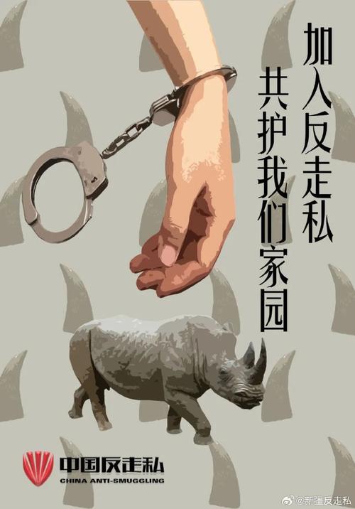 特殊侵权:动物、环境、产品