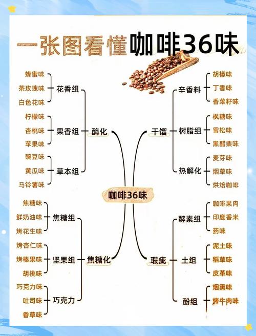 咖啡品鉴不同酸质风味对比示意图