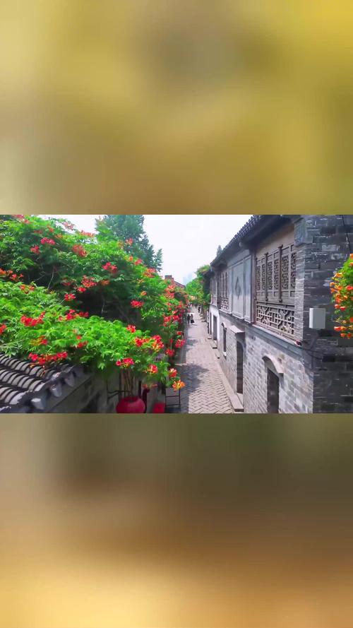 南京老门东秋季桂花无人机航拍图