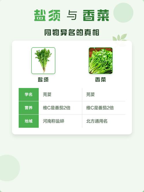 不同区域餐饮同物异名词义对照表