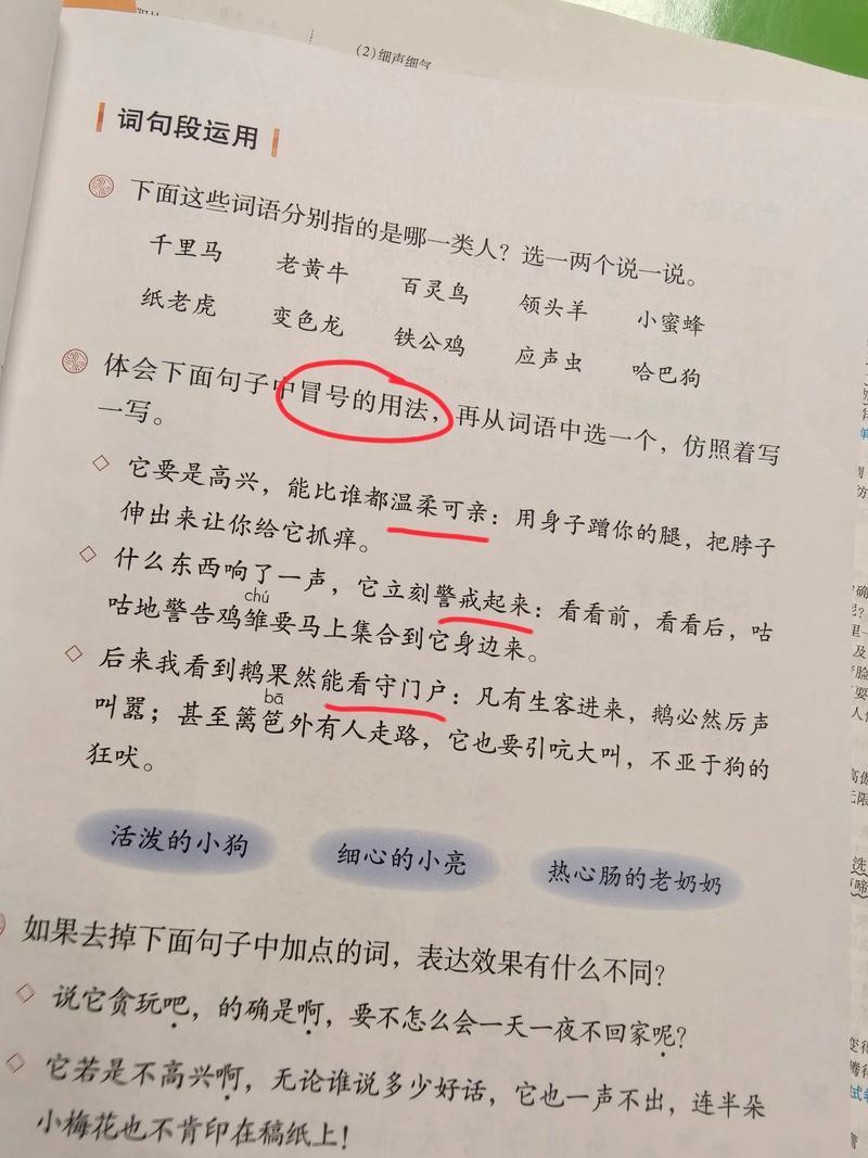 中小学语文冒号误用例句对比图