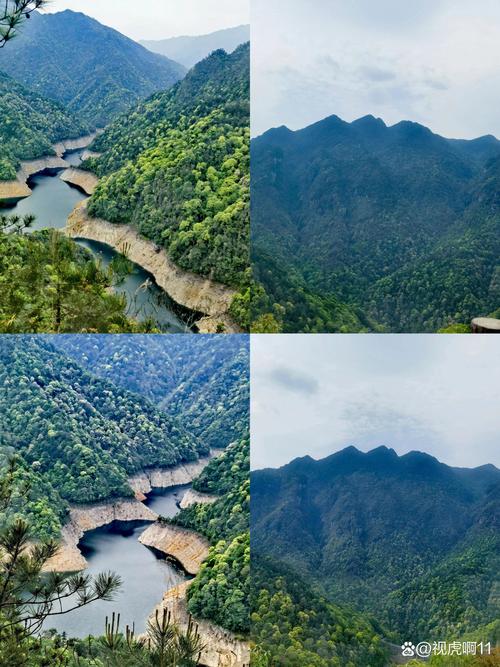 井冈山五指峰峰林与林间步道同框画面