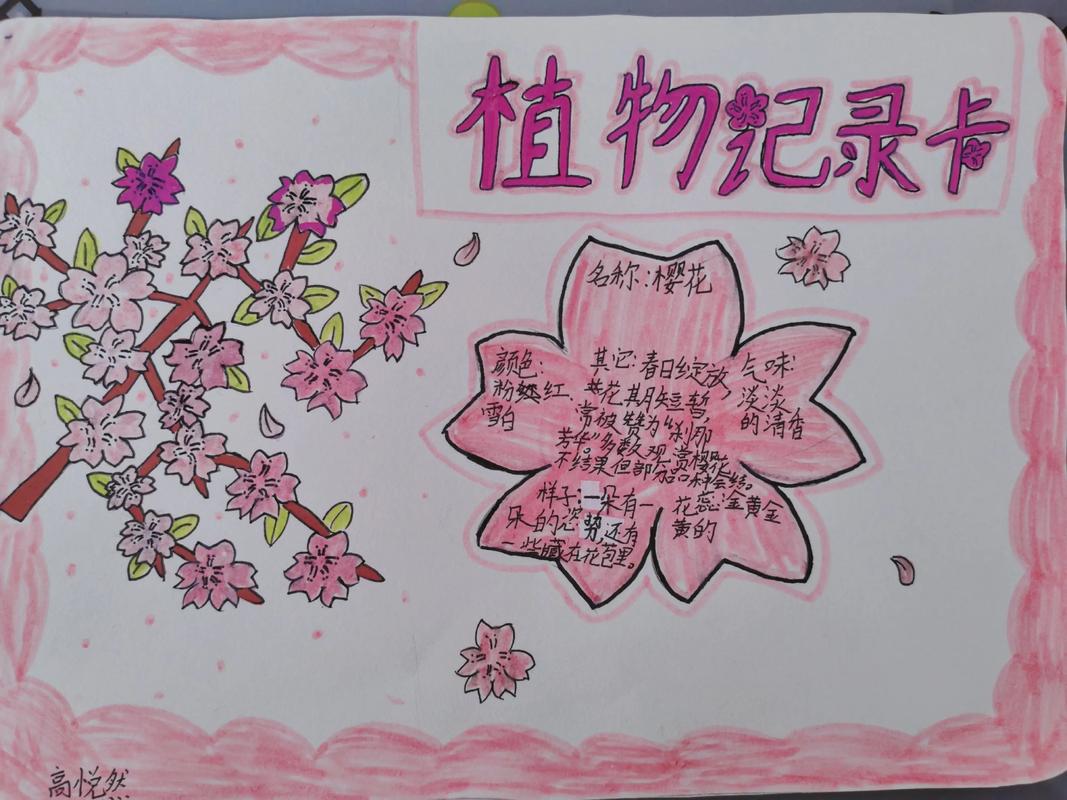 小学生趣味学习植物园探索观察
