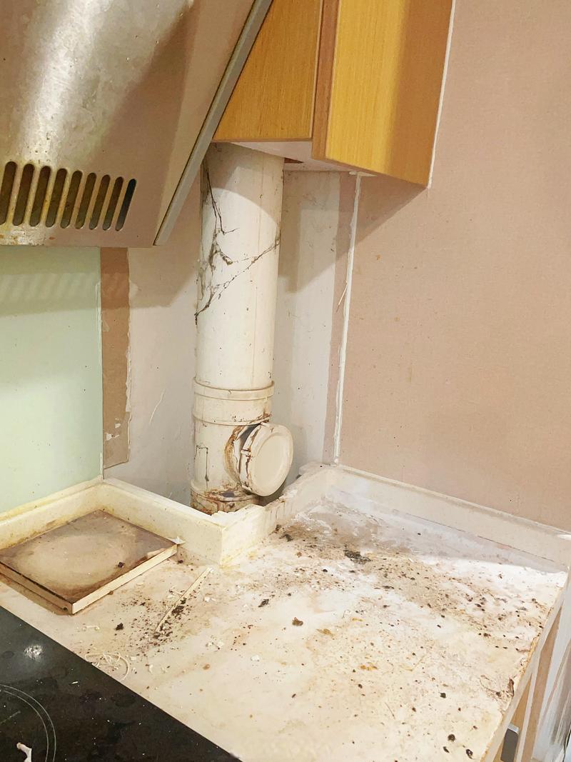 密闭橱柜角落发霉积水餐具实景图